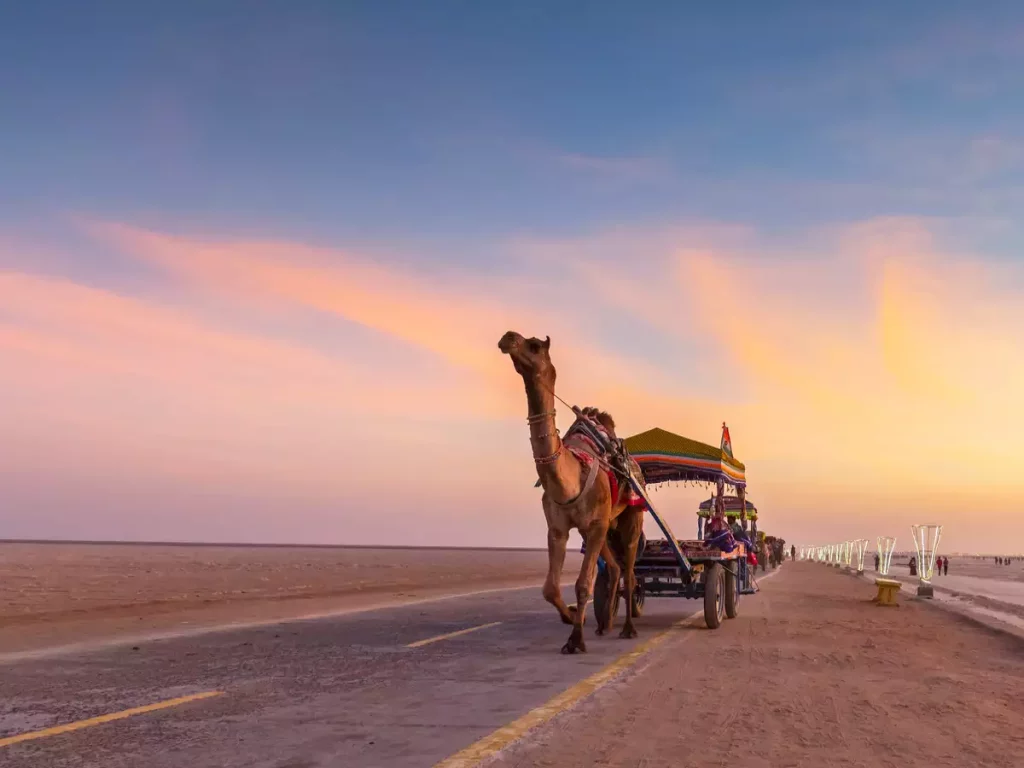 Exploring Cultural Traditions & Natural Treasures - Kutch Wonders